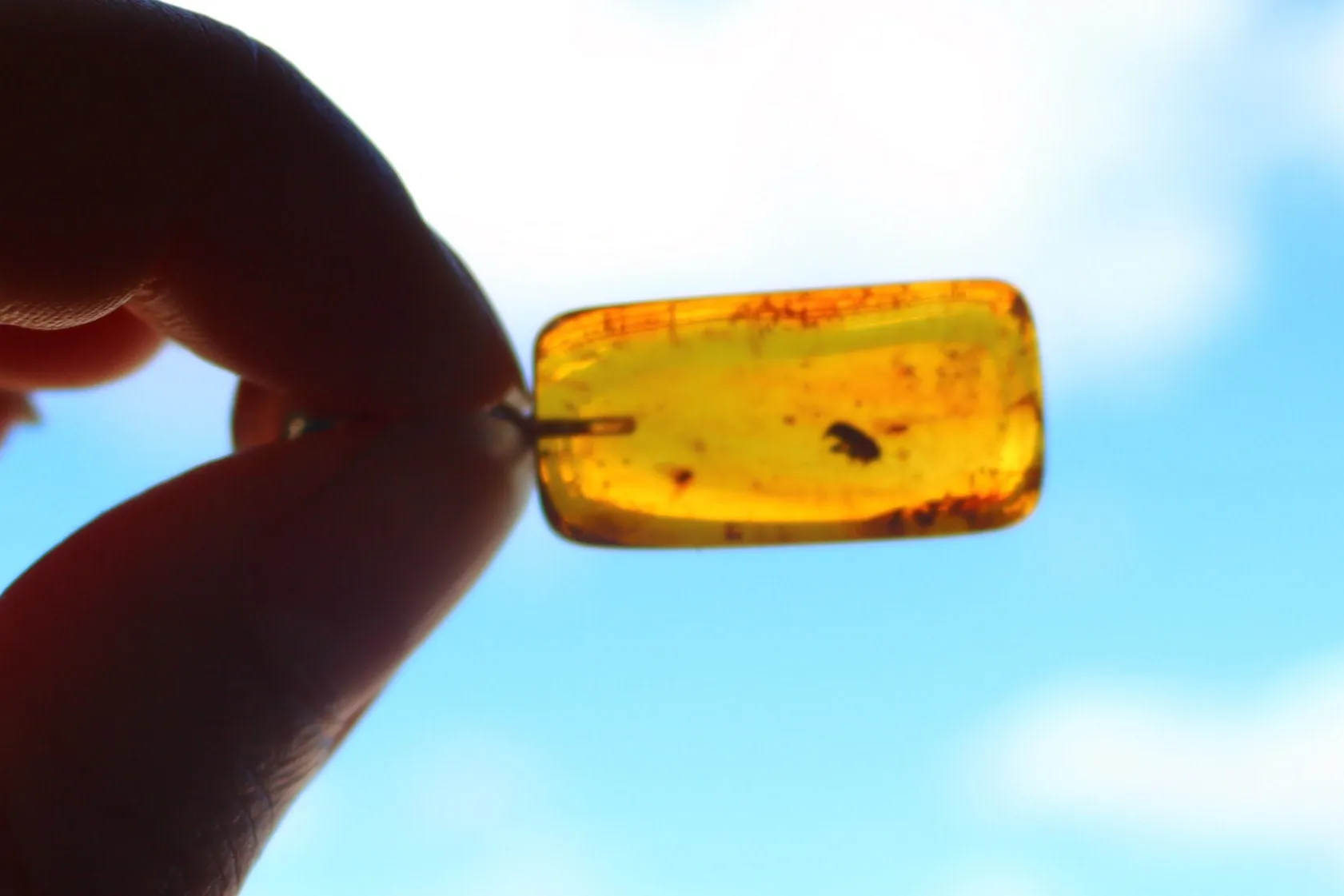 Baltic Amber Pendant with Fossil Insect Natural Untreated Yellow Unisex Jewelry 1.67" 3.7 gram