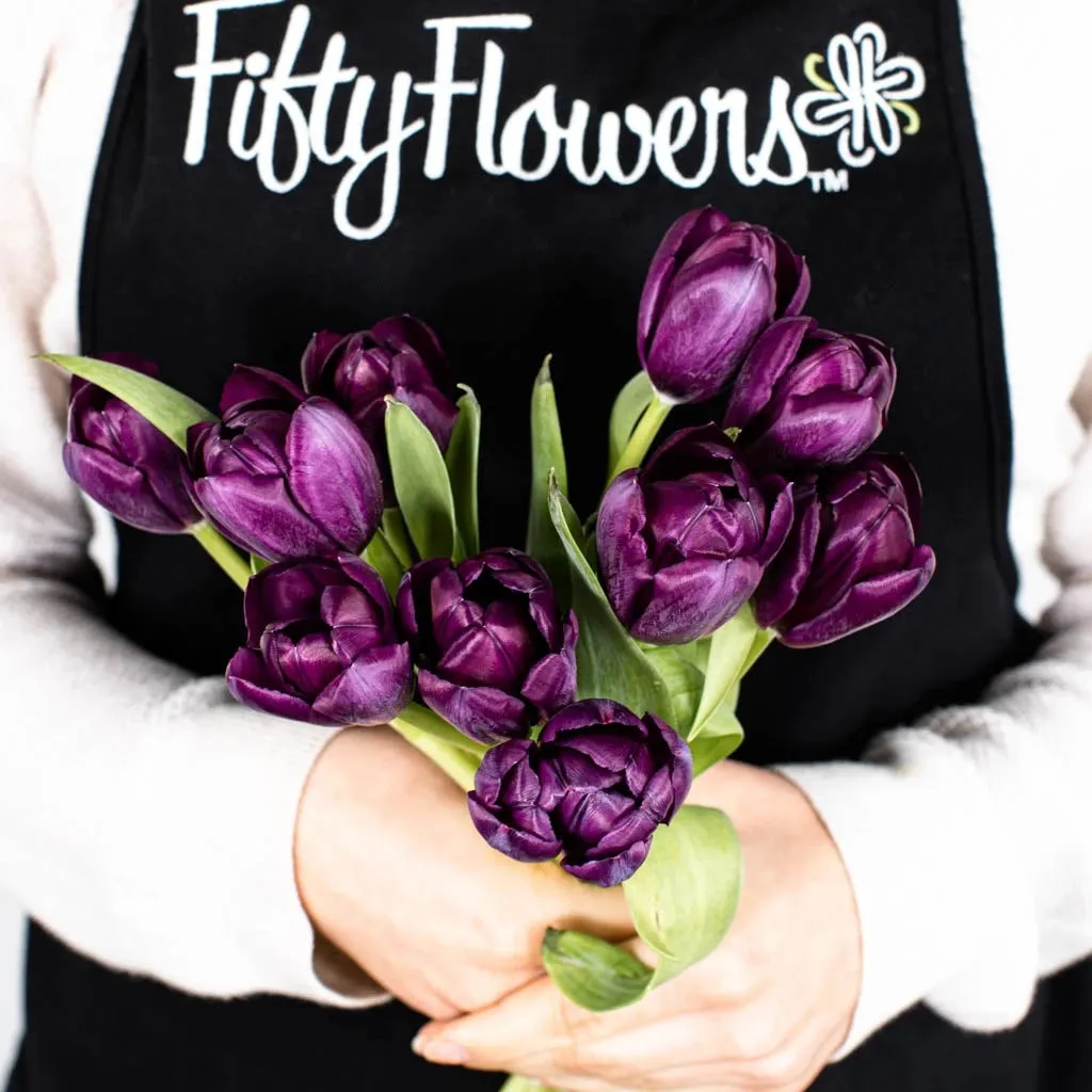 Black Jack Tulip Flower