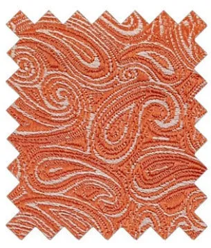 Orange Paisley Wedding Swatch